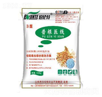 �ո��t(y��)��(xi��n)B��-�ֲ���