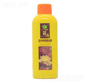 ���܌��Ï�(f��)��ø-ɭ�w����