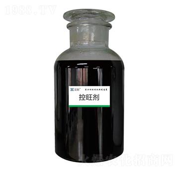 ������-�h�����B(t��i)