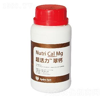 �����������}-�������