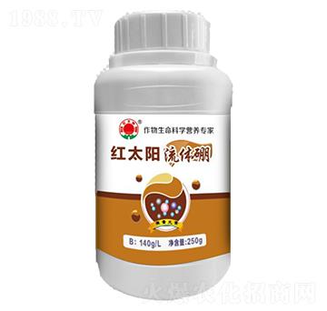 ���w��-�t̫�(y��ng)-�ư����B(t��i)