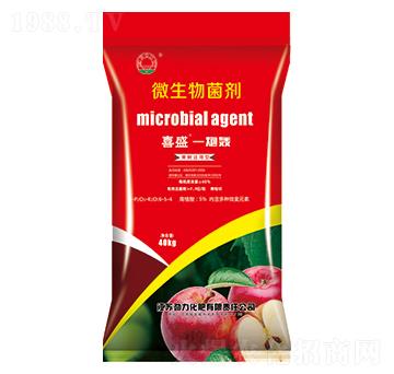 ΢�������-ϲ��һ���Z-�ư����B(t��i)