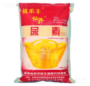 �ɵ�����-����S-��˹��