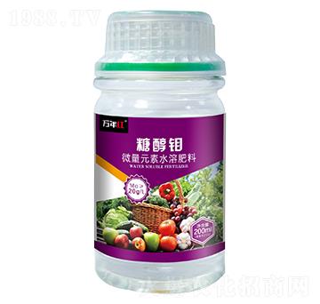 �Ǵ��f-�f(w��n)��t-�Z�\(ch��ng)��