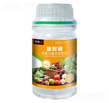 �Ǵ���-�f(w��n)��t-�Z�\(ch��ng)��