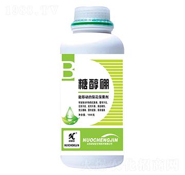 �Ǵ���-�Z�\(ch��ng)��