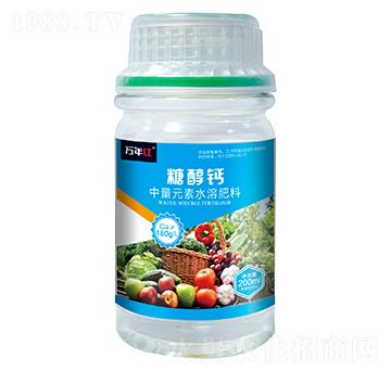 �Ǵ��}-�f(w��n)��t-�Z�\(ch��ng)��