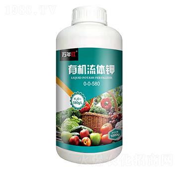 1000g�ЙC(j��)���w�-�f(w��n)��t-�Z�\(ch��ng)��