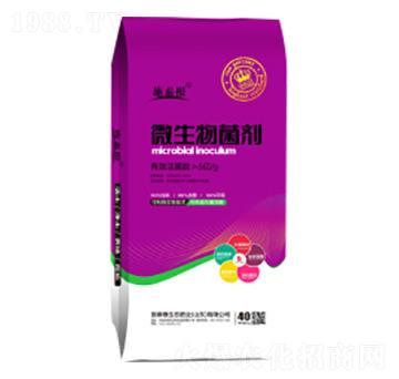 ΢�������-ʩ̩��