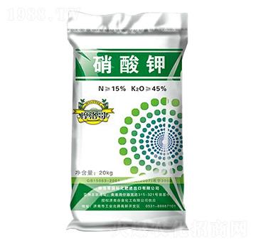 �����-��Ȫ����