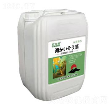 Ͱ�b΢�������-�Ƃ��d��