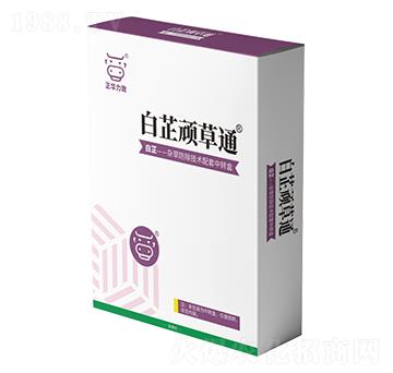 �����B��ͨ-���A����