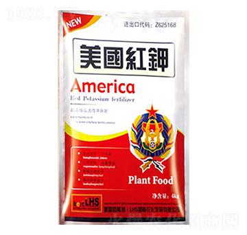 ����(gu��)�t�-�����ʘI(y��)