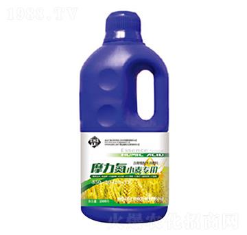 Ħ����С������׷��-������