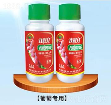 ���ь����~���-�����ʘI(y��)