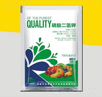 ��������-�����ʘI(y��)