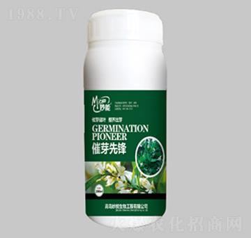 ��ѿ���h-��������