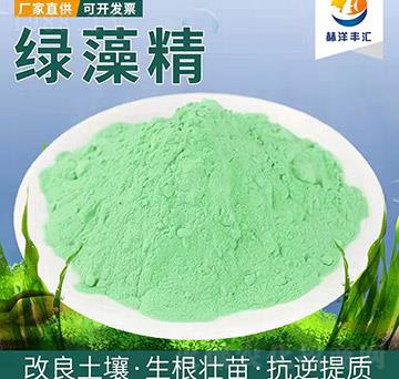 �G�徫-�����Q(m��o)