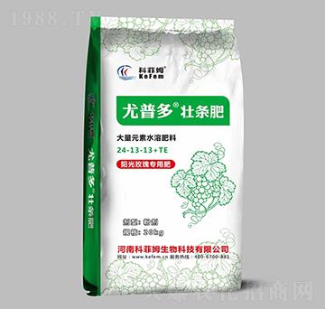 ꖹ�õ�匣���͉їl��24-13-13+TE-���ն�-�Ʒ�ķ