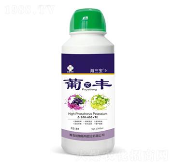 �Ϧ��S-������-���S˹�طʘI(y��)