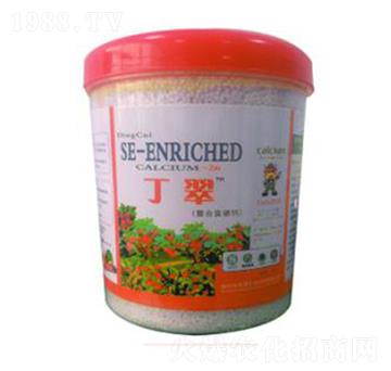 �������ϸ����}-�A�I��