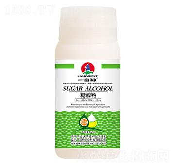 200ml�Ǵ��}-һ��