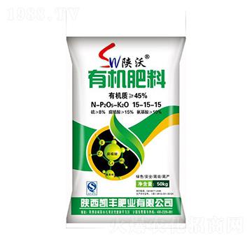 �ЙC(j��)����-�P�S�ʘI(y��)