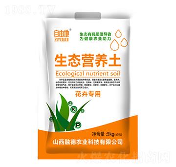 ���܌�(zhu��n)�����B(t��i)�I(y��ng)�B(y��ng)��-���ɵ�-�ڵ��r(n��ng)�I(y��)