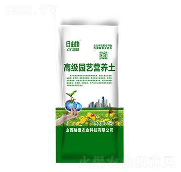 �߼�(j��)�@ˇ�I(y��ng)�B(y��ng)��-���ɵ�-�ڵ��r(n��ng)�I(y��)