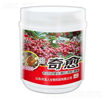 ����-�r(n��ng)ʥ��