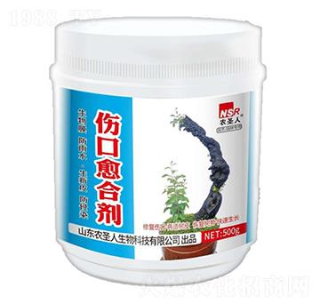 �������τ�-�r(n��ng)ʥ��