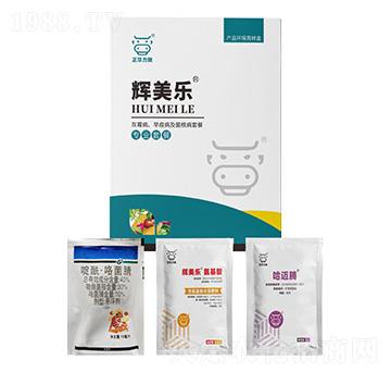 ��ù�������߲������˲��ײ�-�x����-���A����