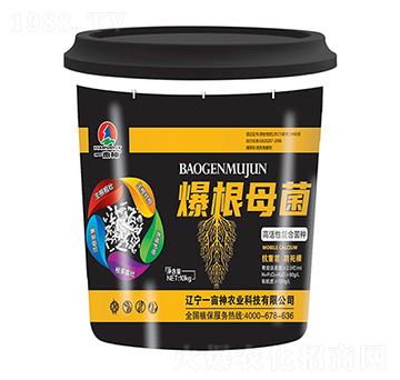 �߻��ԏͺϾ��N-����ĸ