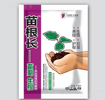 ����L(zh��ng)-�t����