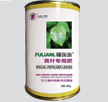 ���B�B�S�~����-�t����