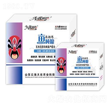 ���׿����I�B(y��ng)�M��-�r��˼�������Z-�ƺ���