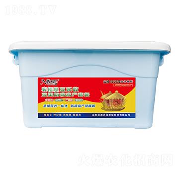 ������I�B(y��ng)�M��-�r��˼��������-�ƺ���