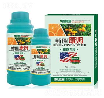 �̳Ȍ����~���-����