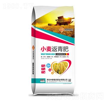 С�������-�긣��ʢ