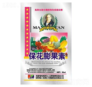 ���������-�»�