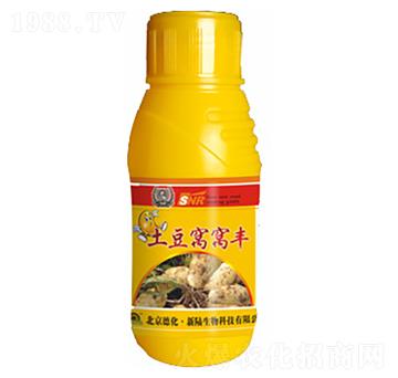 �����C�C�S-�»�