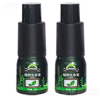 ֲ��������-�»�