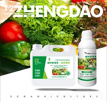 ֲ��I(y��ng)�B(y��ng)���߲ˌ���-��������