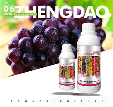 ɫƤ-��������