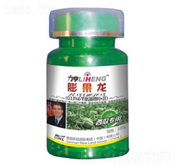 ���ό���-�����-�»�