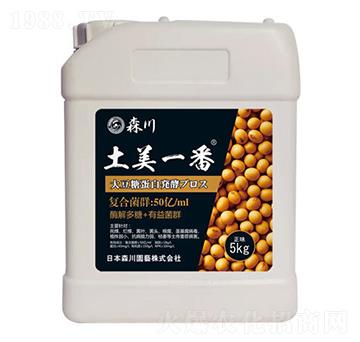 ����һ�������;���-ɭ��-����