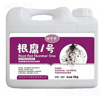 �ߝ�s�����ͺ�΢�������-����1̖-��������