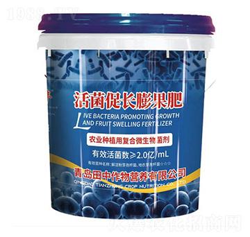 ������L�����-��������