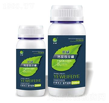 �}�V�F�\��-�~��