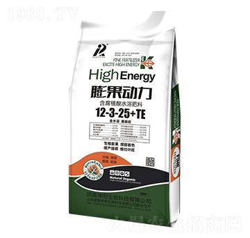 �����(d��ng)��12-3-25+TE-�������